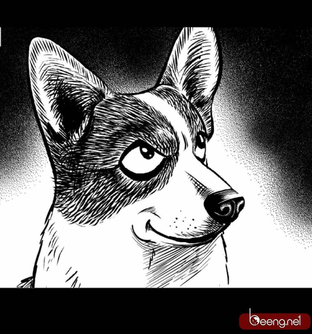 Dạ Hành Khuyển: Chapter 2