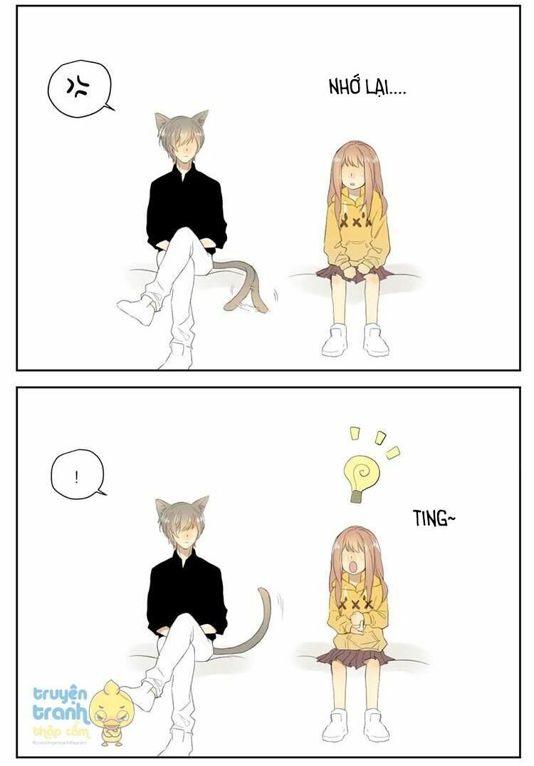 Cứu mạng ! Loài mèo thống trị thế giới rồi !: Chapter 26