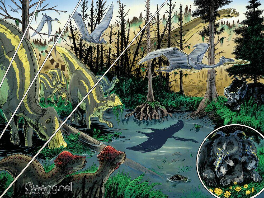 Kỷ Phấn Trắng: Chapter 3