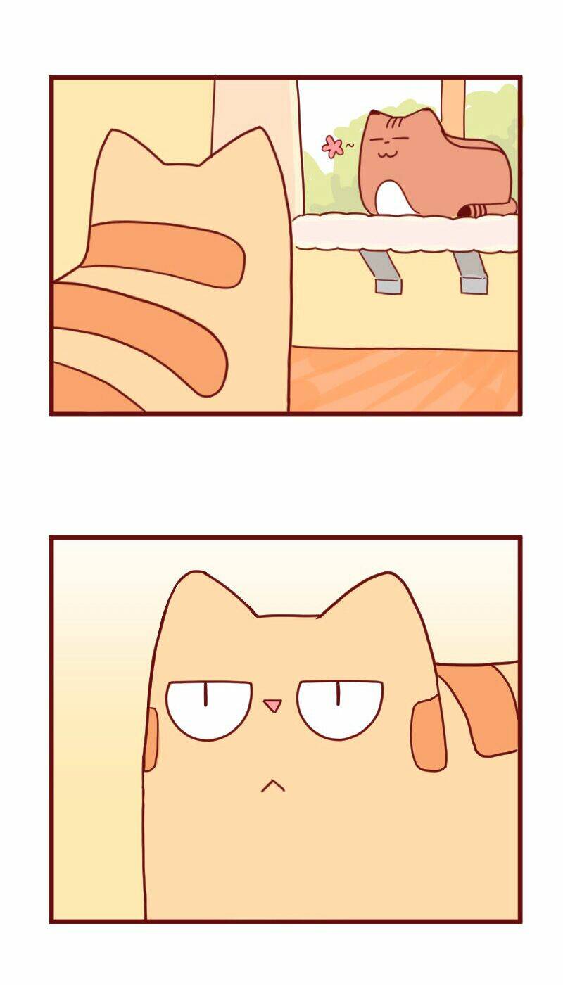 Saphie: Chú mèo một mắt: Chapter 10