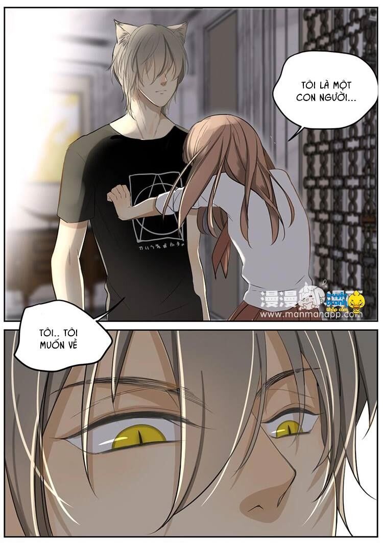 Cứu mạng ! Loài mèo thống trị thế giới rồi !: Chapter 7