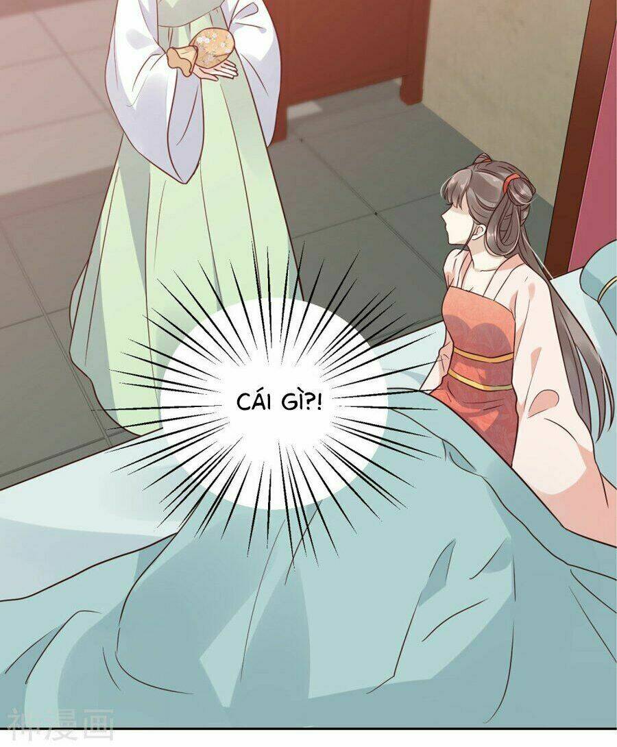 Phú Bà Bạc Tỷ Trong Lãnh Cung: Chapter 0