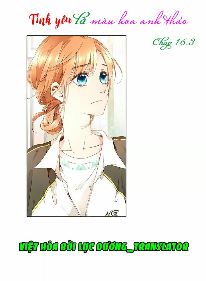 Tình yêu là màu hoa anh thảo: Chapter 16.3