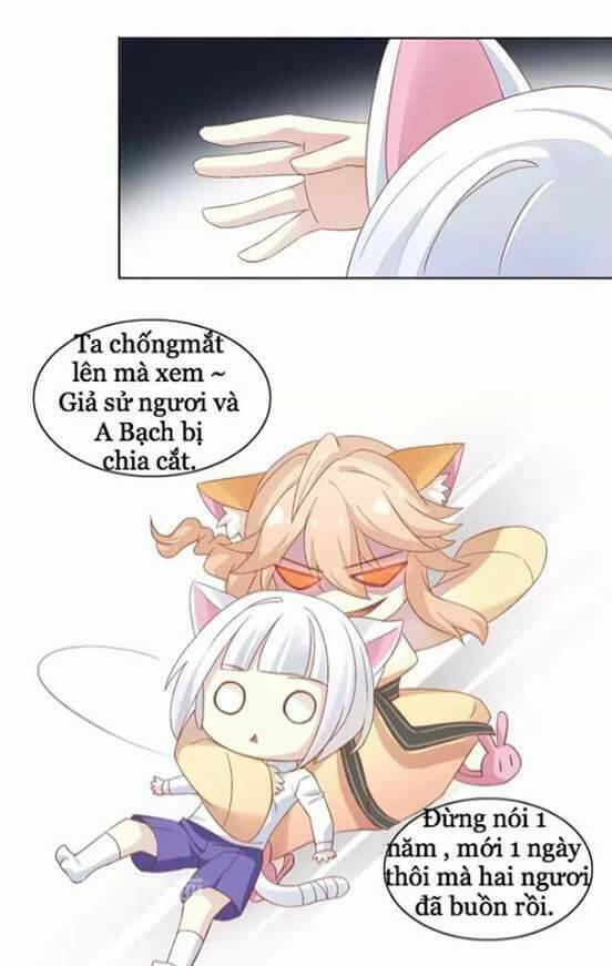 Dưới Móng Vuốt Mèo: Chapter 9