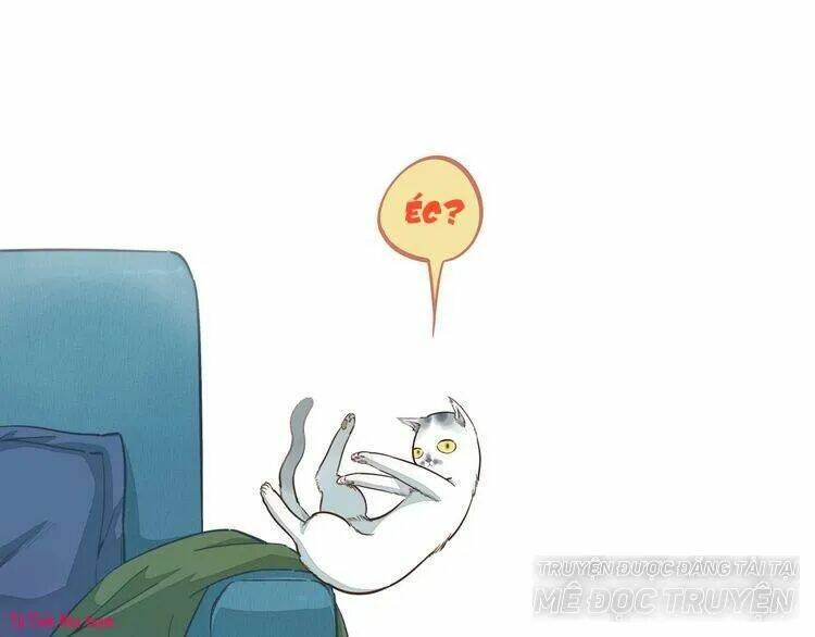 Thời Khắc Ấy, Chúng Ta Gặp Nhau: Chapter 17