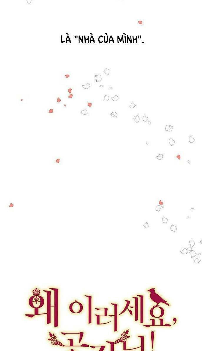 Công Tước, Loạn Vừa Thôi!: Chapter 43