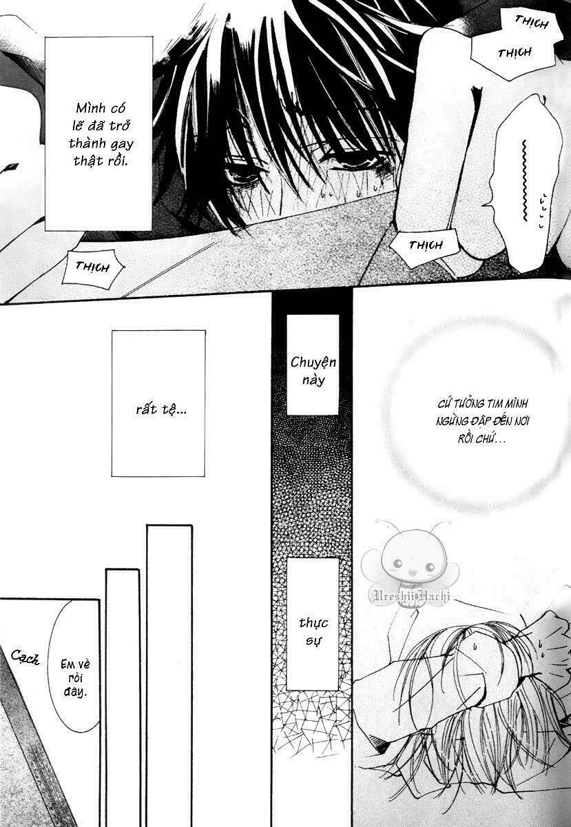 Sự Lãng Mạn Thuần Khiết: Chapter 6