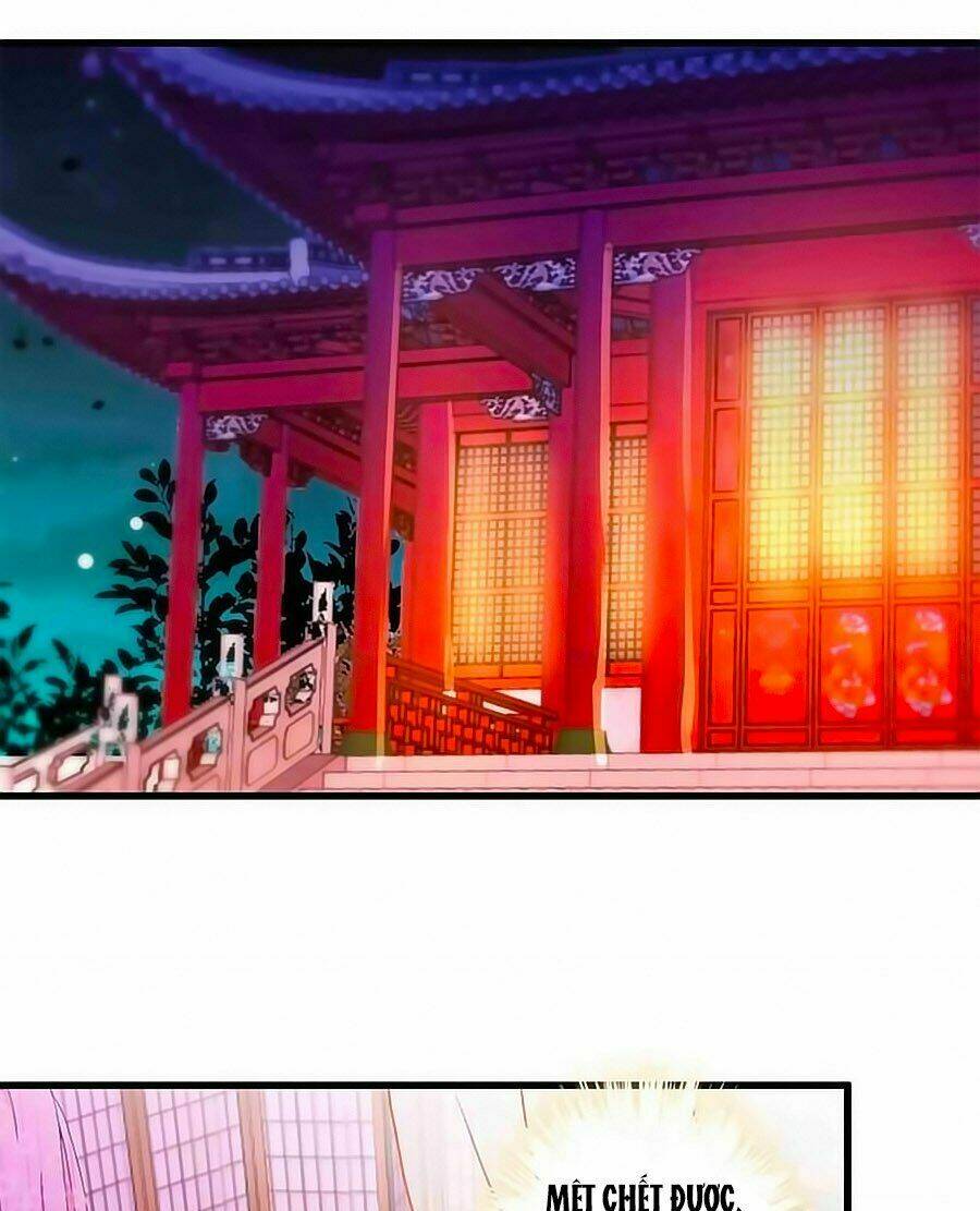 Vương Gia! Ngươi Thật Bỉ Ổi: Chapter 145