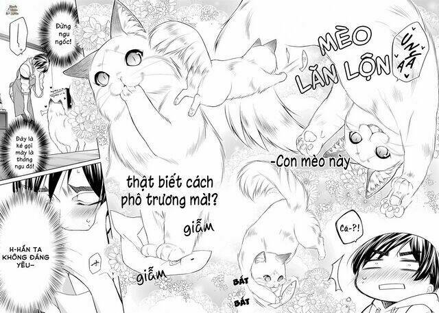 Tôi Là Con Sen Của Hoàng Thượng: Chapter 1