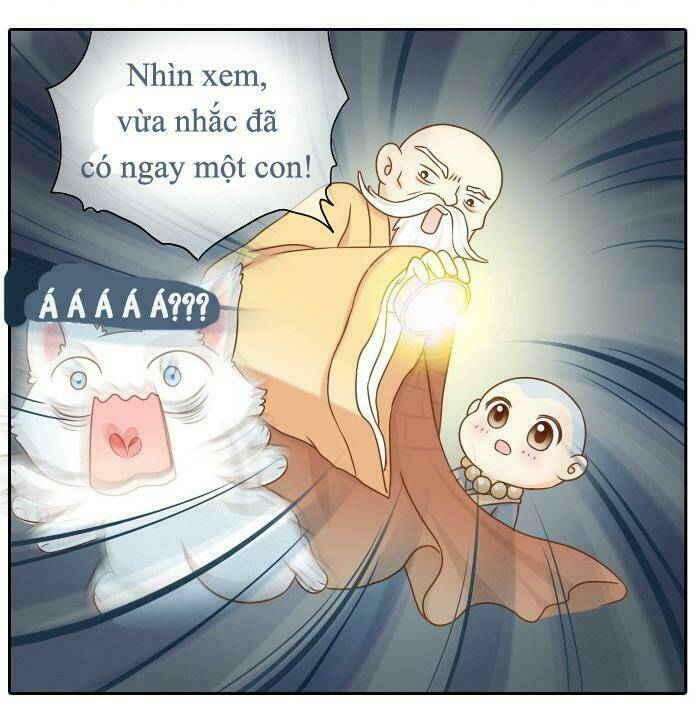 Tiểu Hồ Ly vs Tiểu Hóa Thượng: Chapter 9