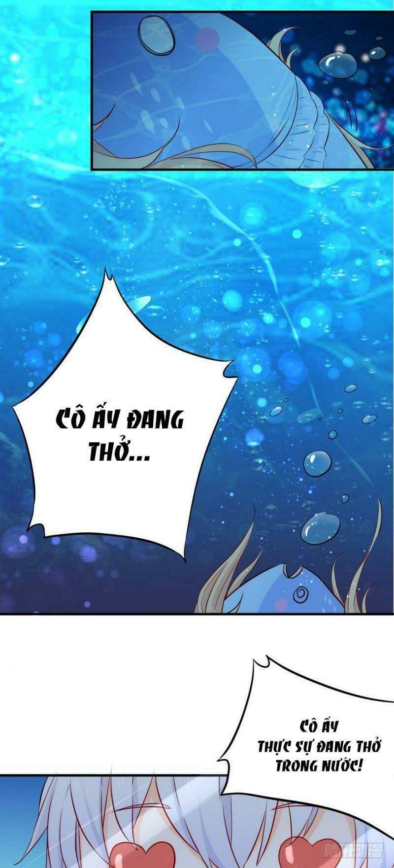 Nhân Ngư Học Trưởng, Đừng Ôm Ta!: Chapter 3