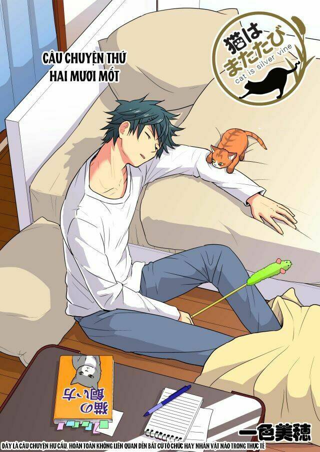 Cat is silver vine: Chapter 21