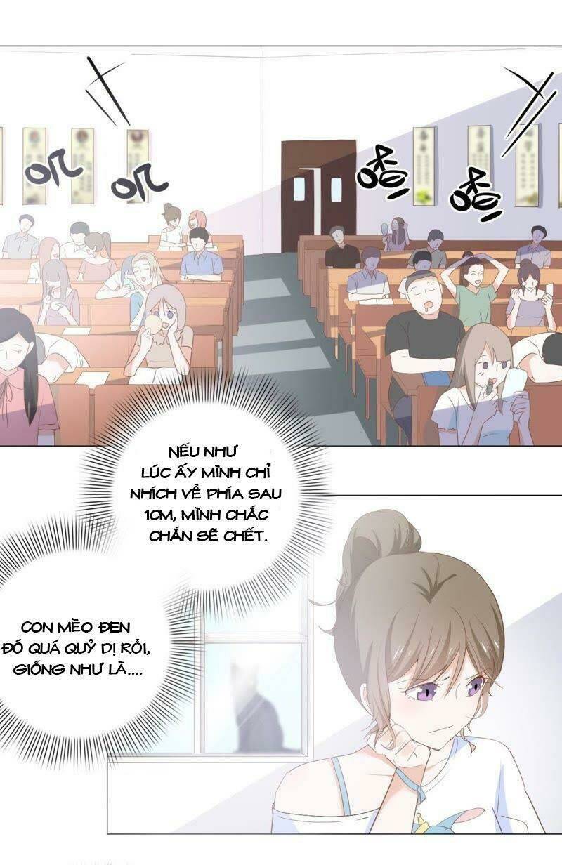 Thập Nhị Hắc Miêu: Chapter 3