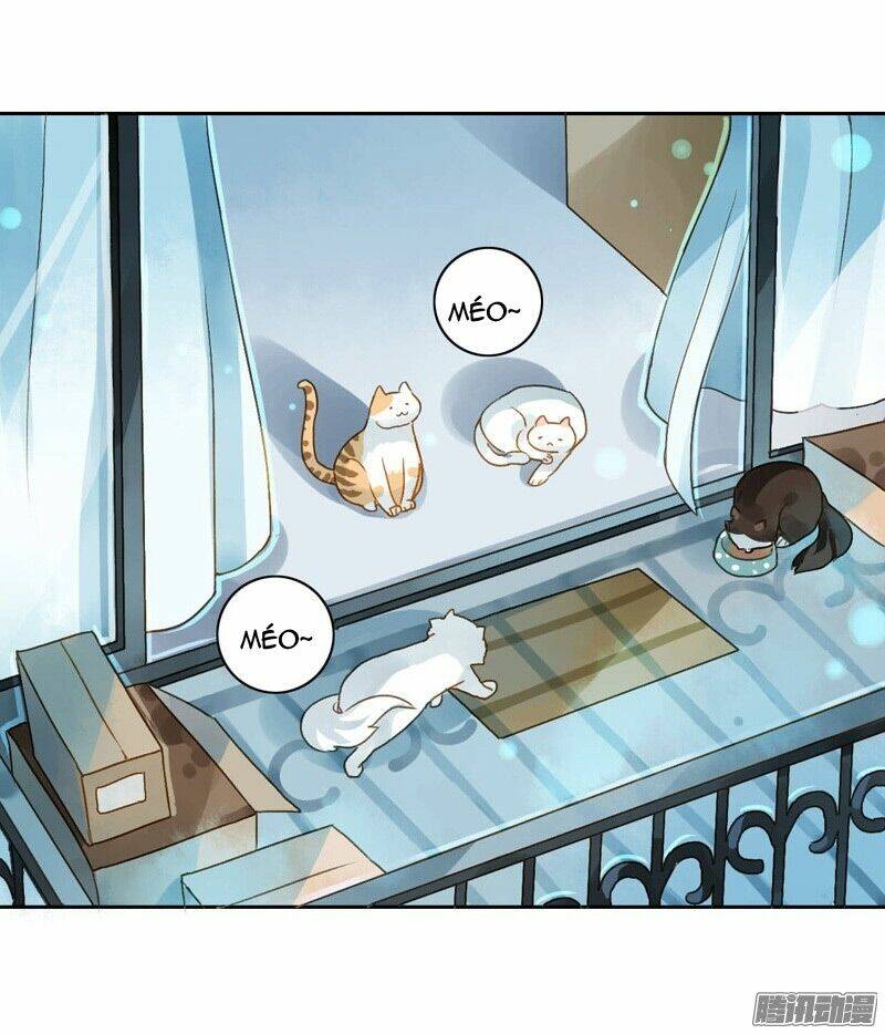 Sức Mạnh Của Sắc Đẹp: Chapter 50