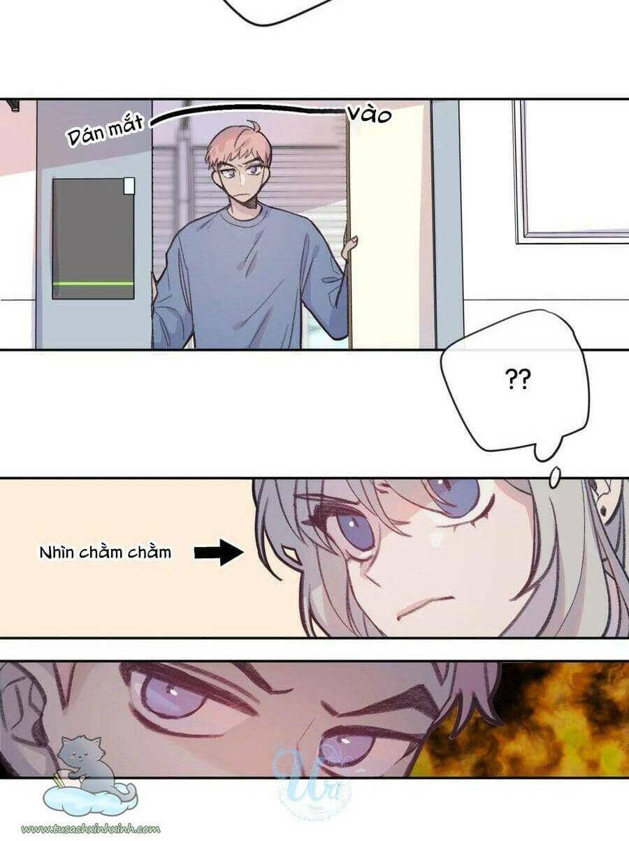 Nhật Ký Nấm Ma Cô: Chapter 3