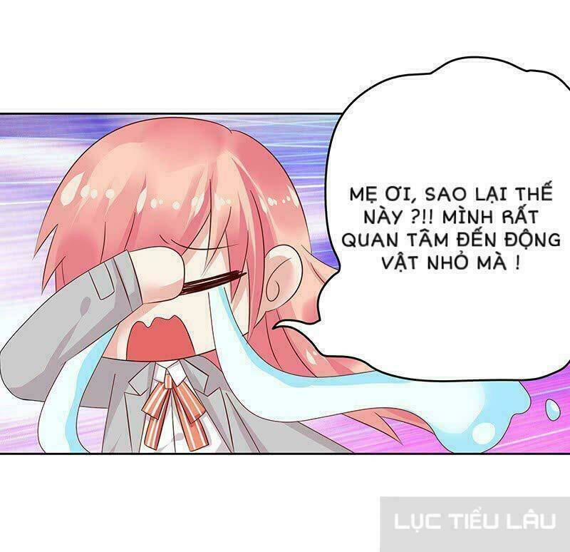 Băng Sơn Học Trưởng Không Được Chọc: Chapter 13