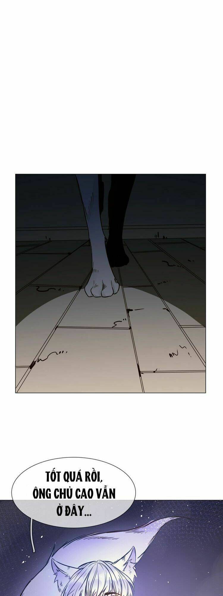 Ngôi Sao Vụn Vỡ: Chapter 19.5