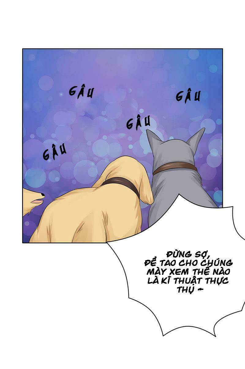 Băng Sơn Học Trưởng Không Được Chọc: Chapter 51.1