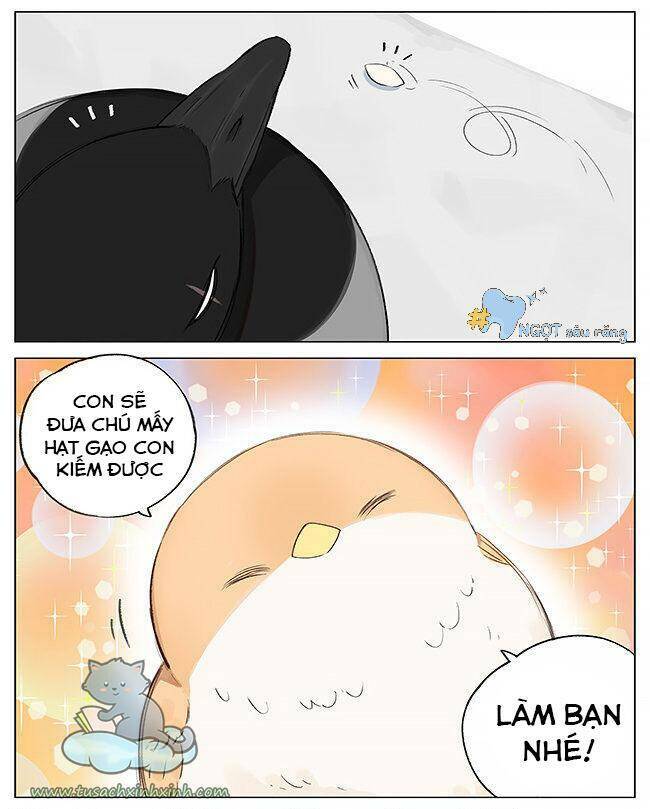 Chim Sẻ Gọi Ngỗng Trời: Chapter 1