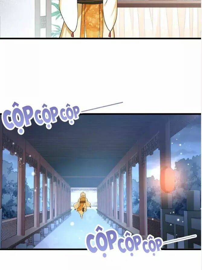 Tiểu Hoàng Thư Và Tiểu Hoàng Thúc: Chapter 65