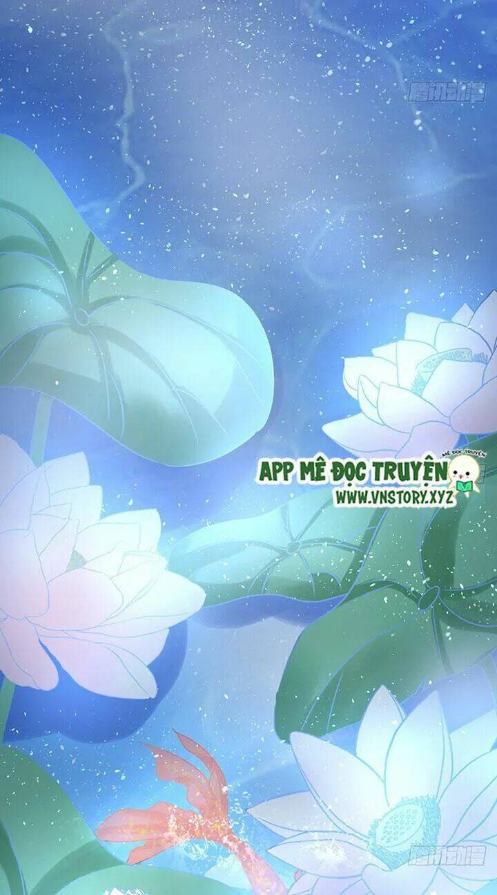 Cẩm Lý Thiếu Nữ Của Tôi: Chapter 67