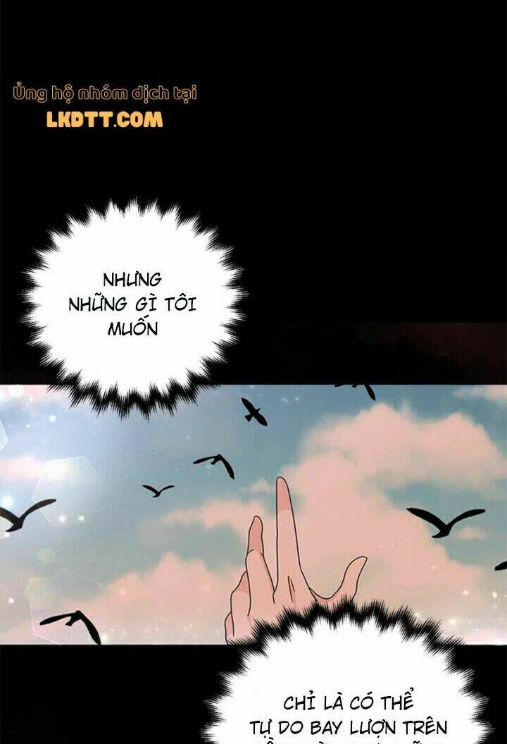 Nữ Hiệp Trở Về: Chapter 24