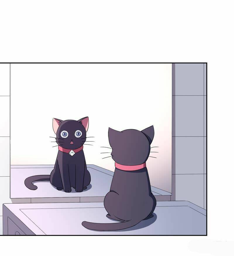 Miêu Vương Tại Thượng: Chapter 1