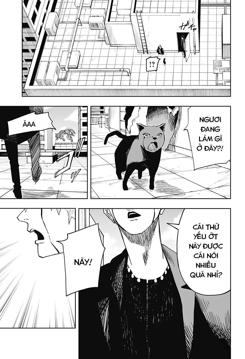 Stage S: Chapter 9