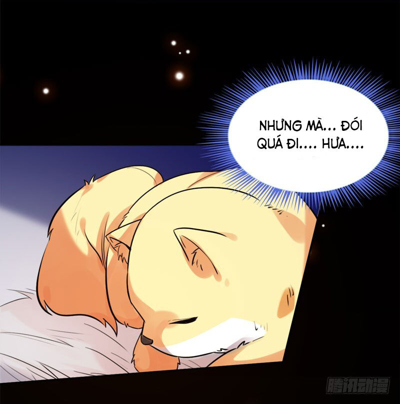 Lụ Đạn, Hôm Nay Lại Cũng Không Thể Biến Thành Người Được: Chapter 2