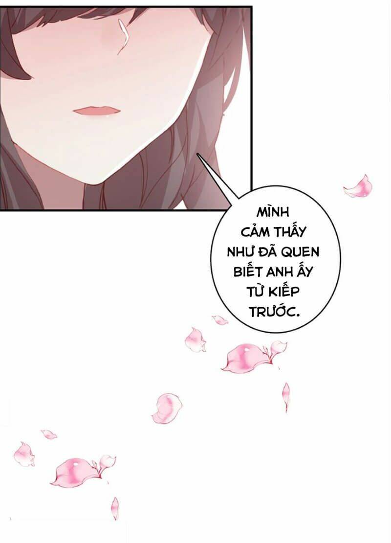 Nhất Sinh Nhất Thế Mỹ Nhân Cốt: Chapter 6