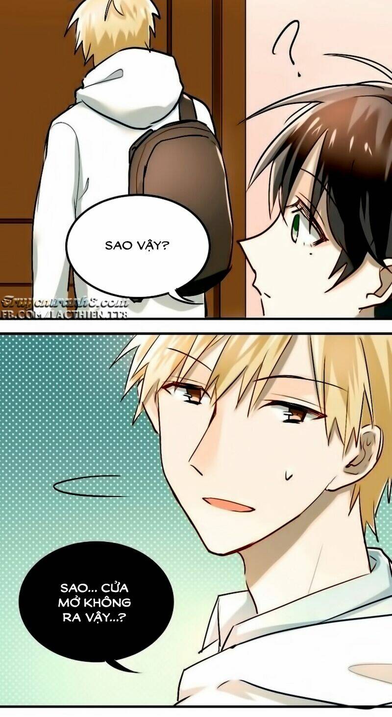 Đầu Gấu Biết Yêu: Chapter 16