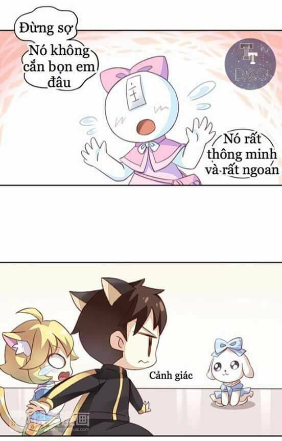 Dưới Móng Vuốt Mèo: Chapter 5