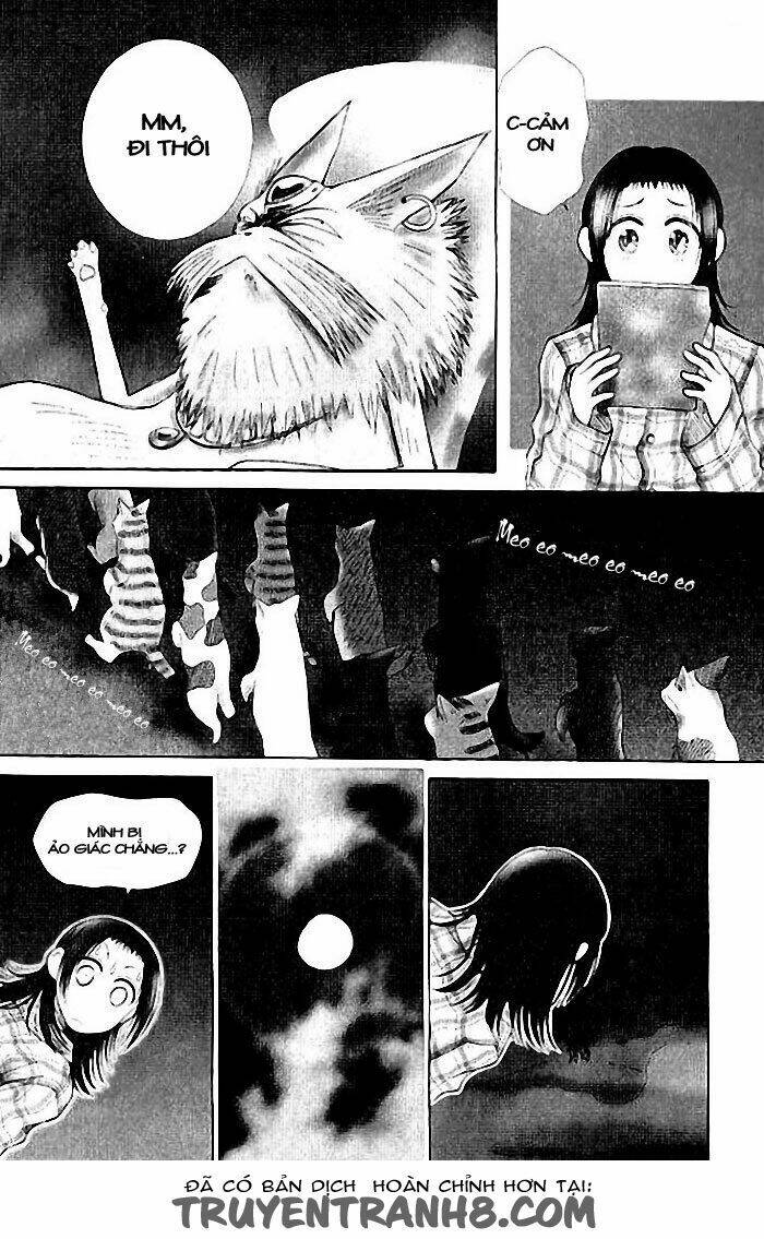 Lời Thì Thầm Từ Trái Tim: Chapter 6