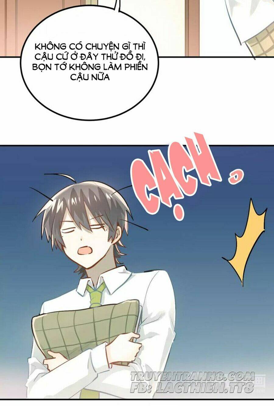 Đầu Gấu Biết Yêu: Chapter 56