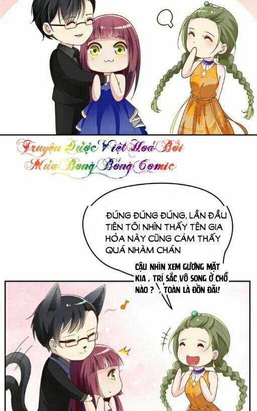 Tổng Tài Hai Mặt Sủng Thê Chỉ Nam: Chapter 4