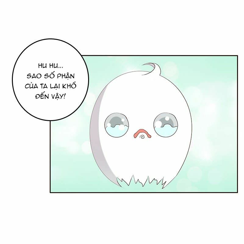 Thông Linh Phi: Chapter 165