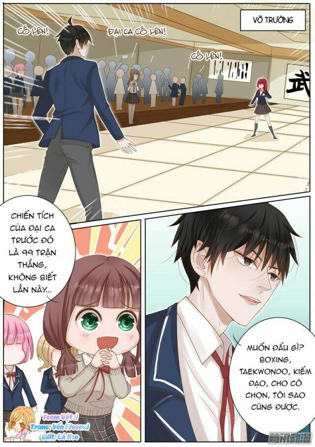 Vương Bài Giáo Thảo: Chapter 8