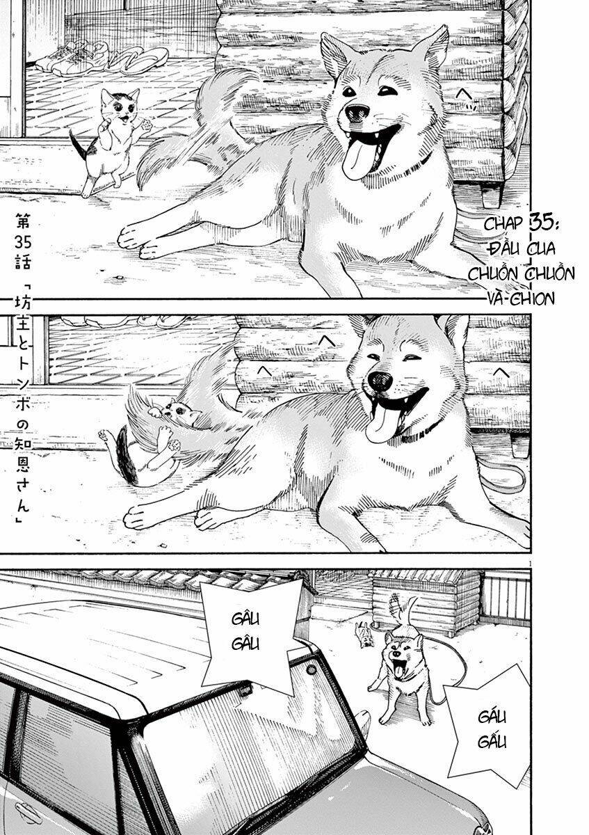 Neko No Otera No Chion-San: Chapter 35