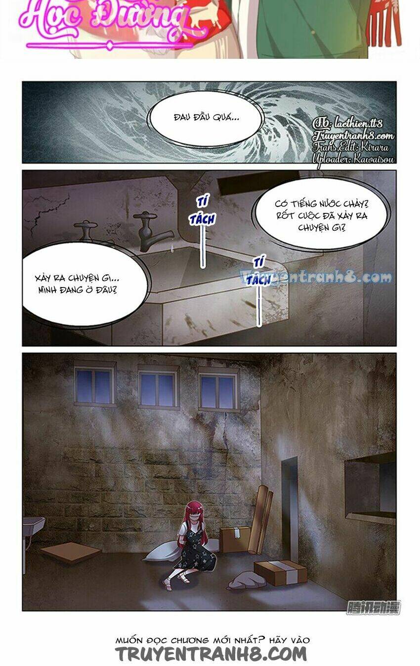 Vương Bài Giáo Thảo: Chapter 101