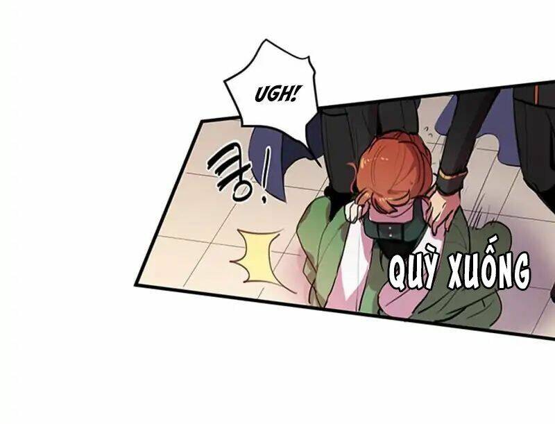 Công Tước, Loạn Vừa Thôi!: Chapter 2