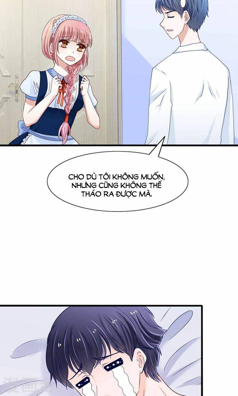 Tôi Bị Gấu Trúc Nhìn Trúng Rồi: Chapter 19