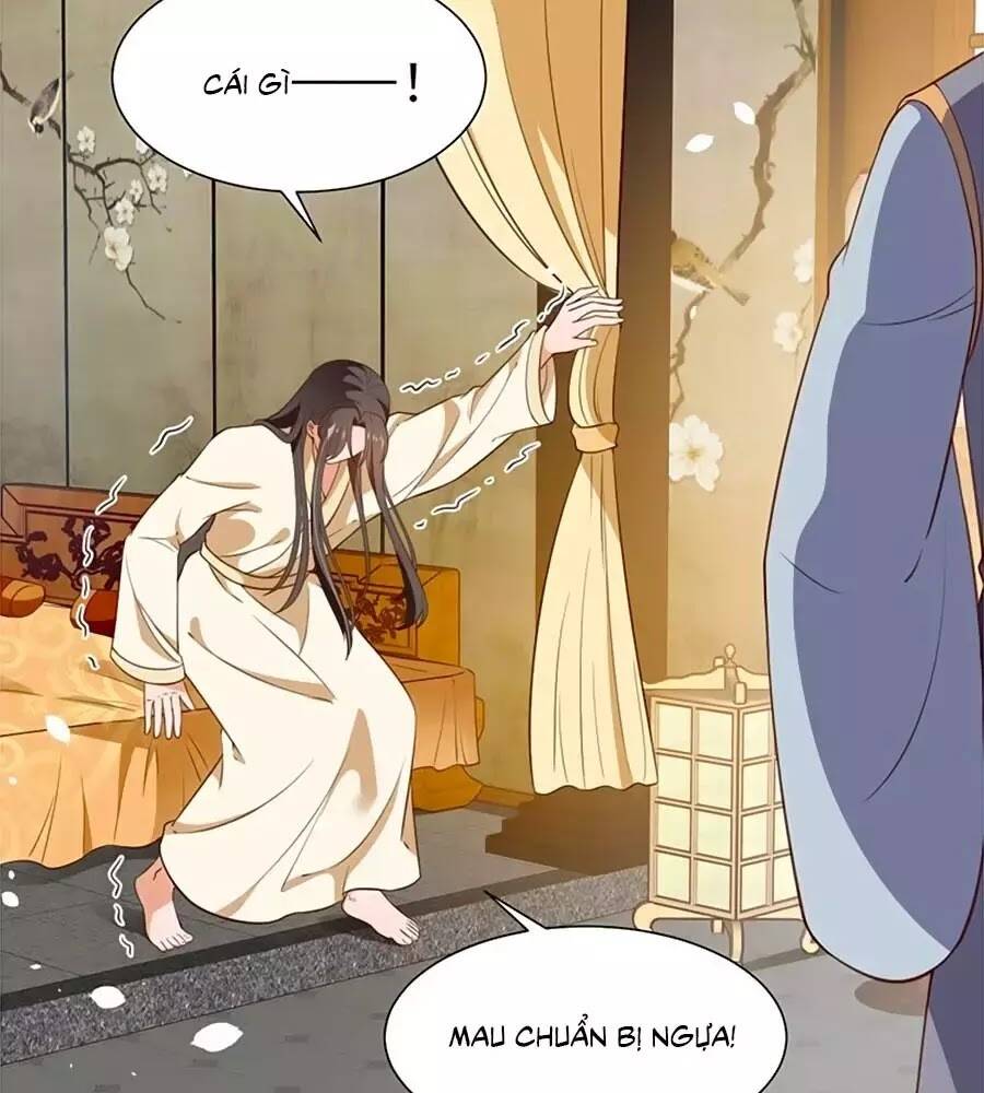 Thịnh Thế Lê Hoa Điện: Chapter 94