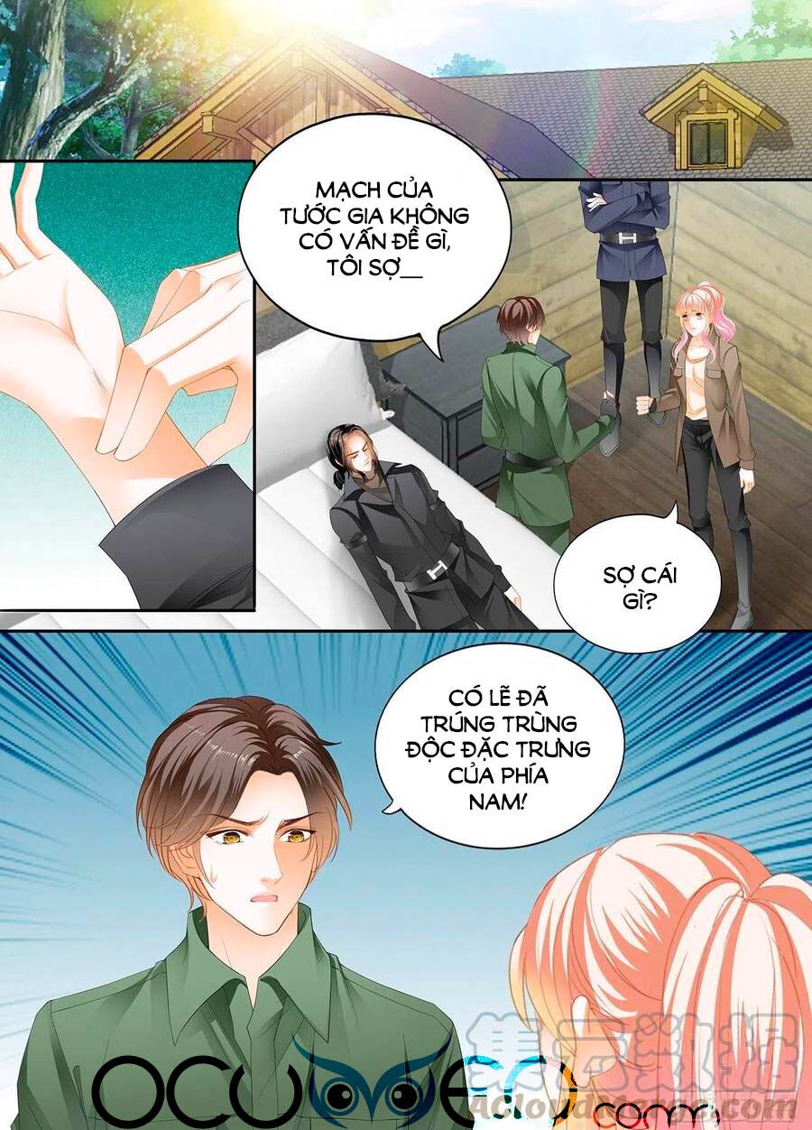 Bá Đạo Tiểu Thúc, Xin Trêu Chọc Vừa Thôi!: Chapter 246