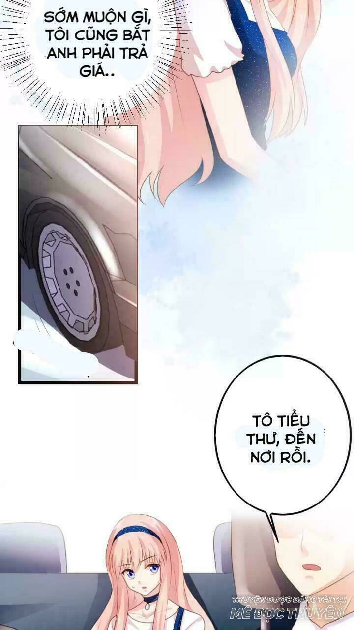 Bản Hợp Đồng Của Tổng Tài Lạnh Lùng: Chapter 4