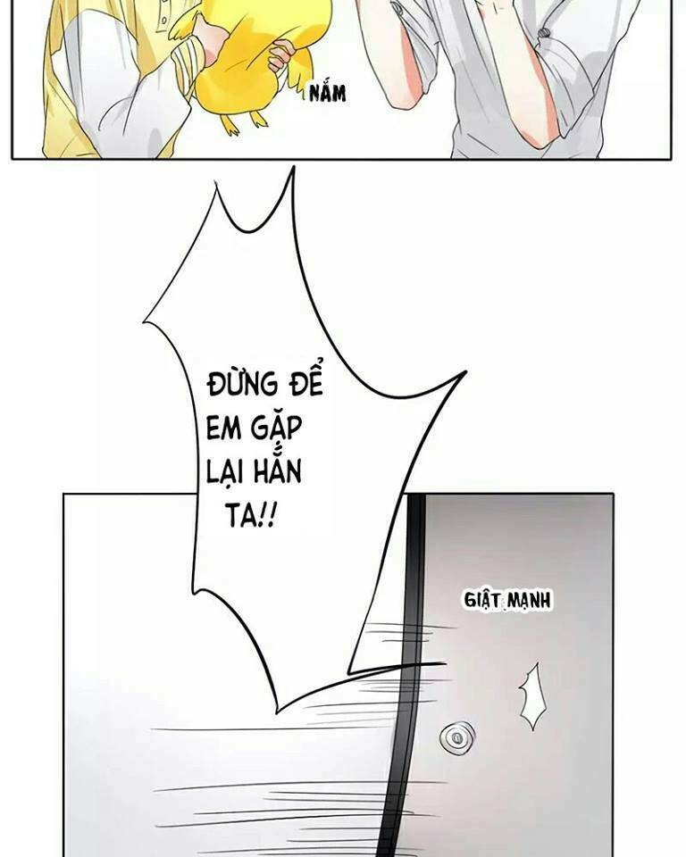 Trẫm Không Phải Là Đại Minh Tinh: Chapter 11