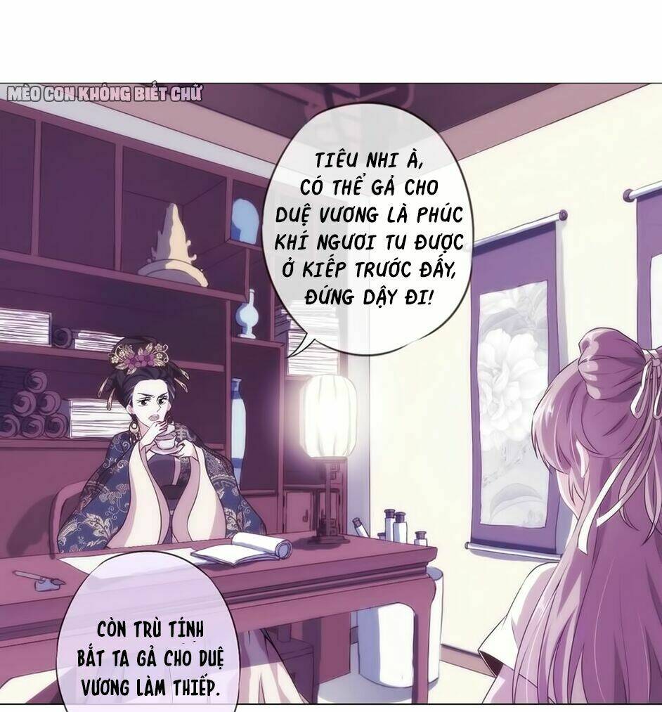 Ồ, Sủng Phi Đại Nhân Của Ta: Chapter 1