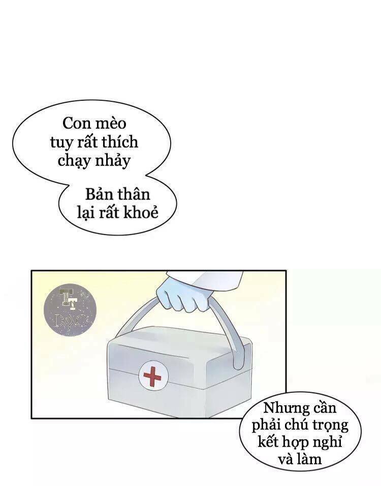 Dưới Móng Vuốt Mèo: Chapter 19