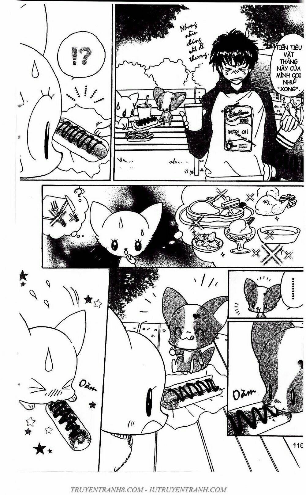 Bộ Sưu Tập Lọ Lem: Chapter 51