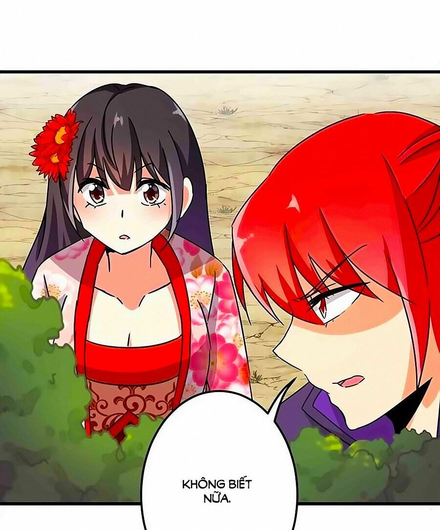 Vương Gia ! Ngươi Thật Bỉ Ổi !: Chapter 226