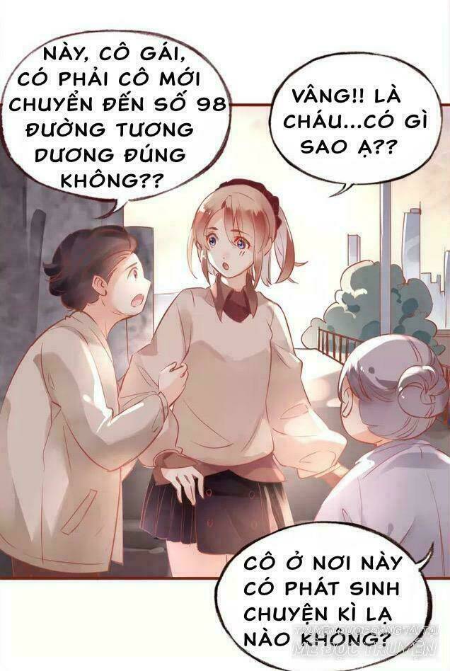 Hoa Hồng Trên Gai: Chapter 19